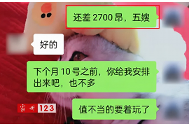 麻栗坡讨债公司